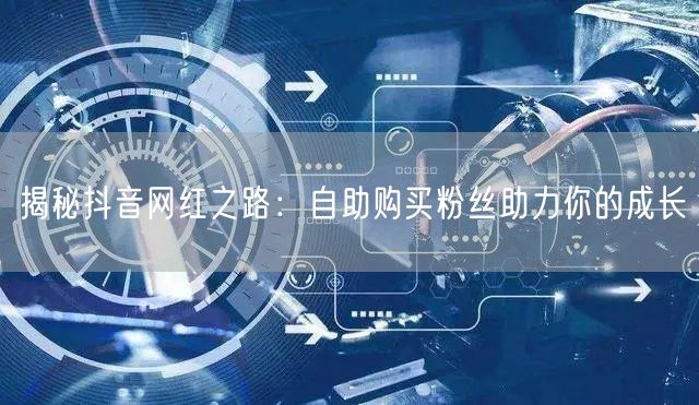 揭秘抖音网红之路:自助购买粉丝助力你的成长