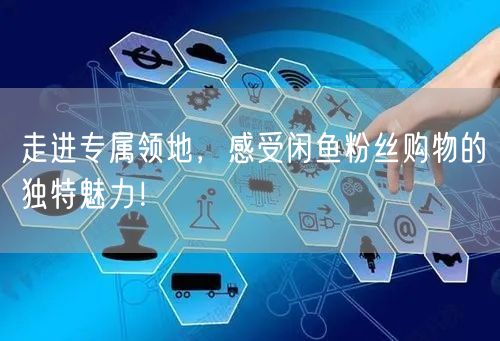 走进专属领地,感受闲鱼粉丝购物的独特魅力!