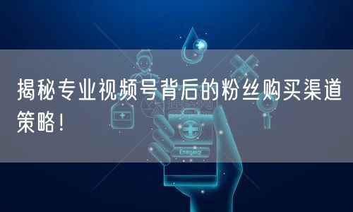 揭秘专业视频号背后的粉丝购买渠道策略!