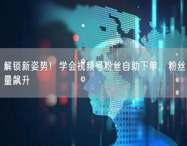 解锁新姿势!学会视频号粉丝自助下单,粉丝量飙升
