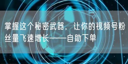 掌握这个秘密武器,让你的视频号粉丝量飞速增长——自助下单