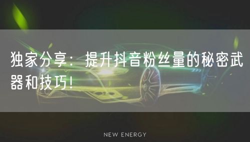 独家分享:提升抖音粉丝量的秘密武器和技巧!