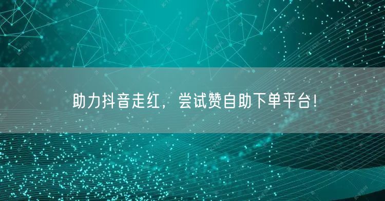 助力抖音走红,尝试赞自助下单平台!