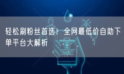 轻松刷粉丝首选!全网最低价自助下单平台大解析