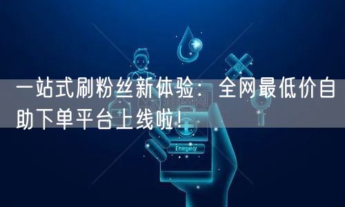 一站式刷粉丝新体验:全网最低价自助下单平台上线啦!