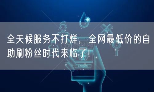全天候服务不打烊,全网最低价的自助刷粉丝时代来临了!