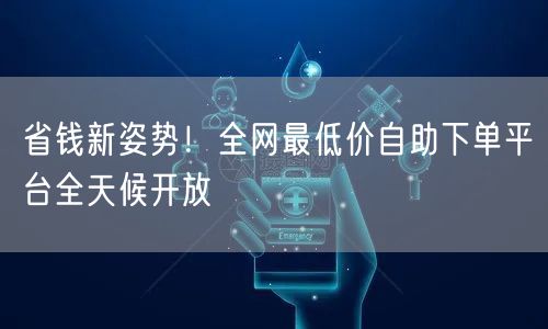 省钱新姿势！全网最低价自助下单平台全天候开放