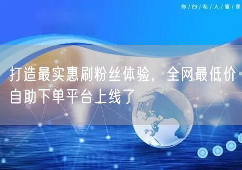 打造最实惠刷粉丝体验,全网最低价自助下单平台上线了