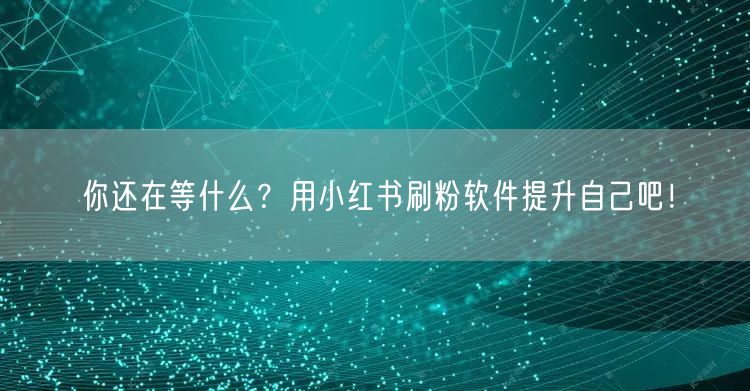 你还在等什么?用小红书刷粉软件提升自己吧!