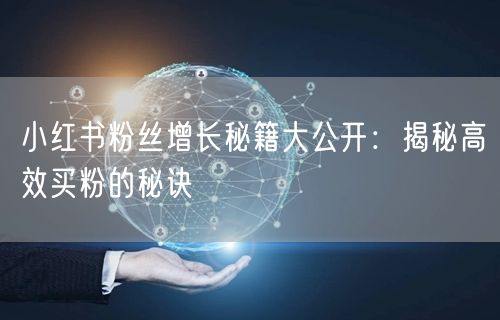 小红书粉丝增长秘籍大公开:揭秘高效买粉的秘诀