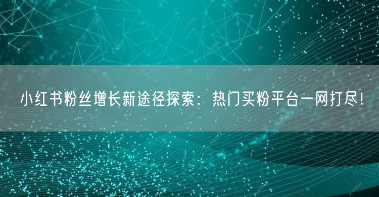 小红书粉丝增长新途径探索:热门买粉平台一网打尽!