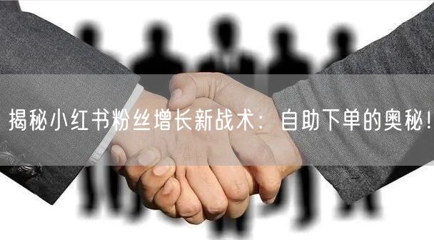揭秘小红书粉丝增长新战术:自助下单的奥秘!